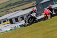 PJ-Motorsport-2019;anglesey-no-limits-trackday;anglesey-photographs;anglesey-trackday-photographs;enduro-digital-images;event-digital-images;eventdigitalimages;no-limits-trackdays;peter-wileman-photography;racing-digital-images;trac-mon;trackday-digital-images;trackday-photos;ty-croes